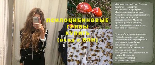 прущие крисы Абаза