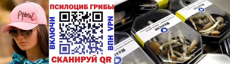 OMG онион  Шимановск  Псилоцибиновые грибы GOLDEN TEACHER  что такое  
